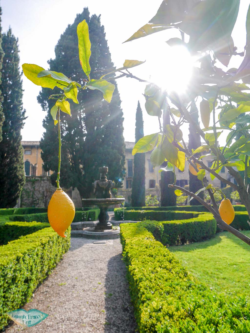 lemon tree in giardino giusti verona italy