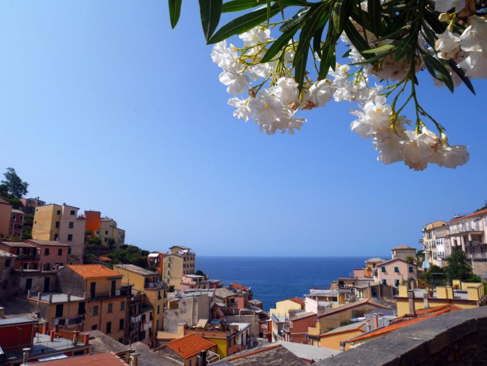 The steep landscape allows for a good view of Riomaggiore from a high vantage point | Laugh Travel Eat