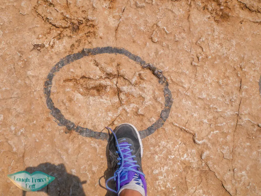 dinosaur-footprint-Kamenjak-national-park-Pula-Croatia-Laugh-Travel-Eat
