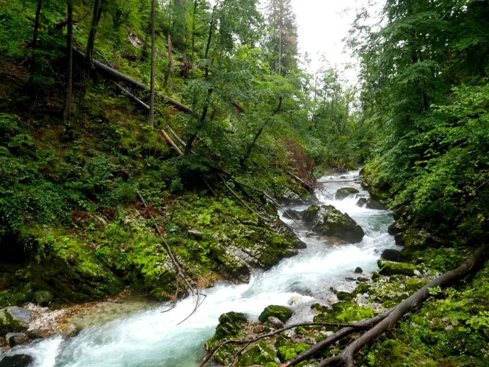 Long exposure shot of Vintgar gorge river near Bled, Slovenia | Laugh Travel Eat