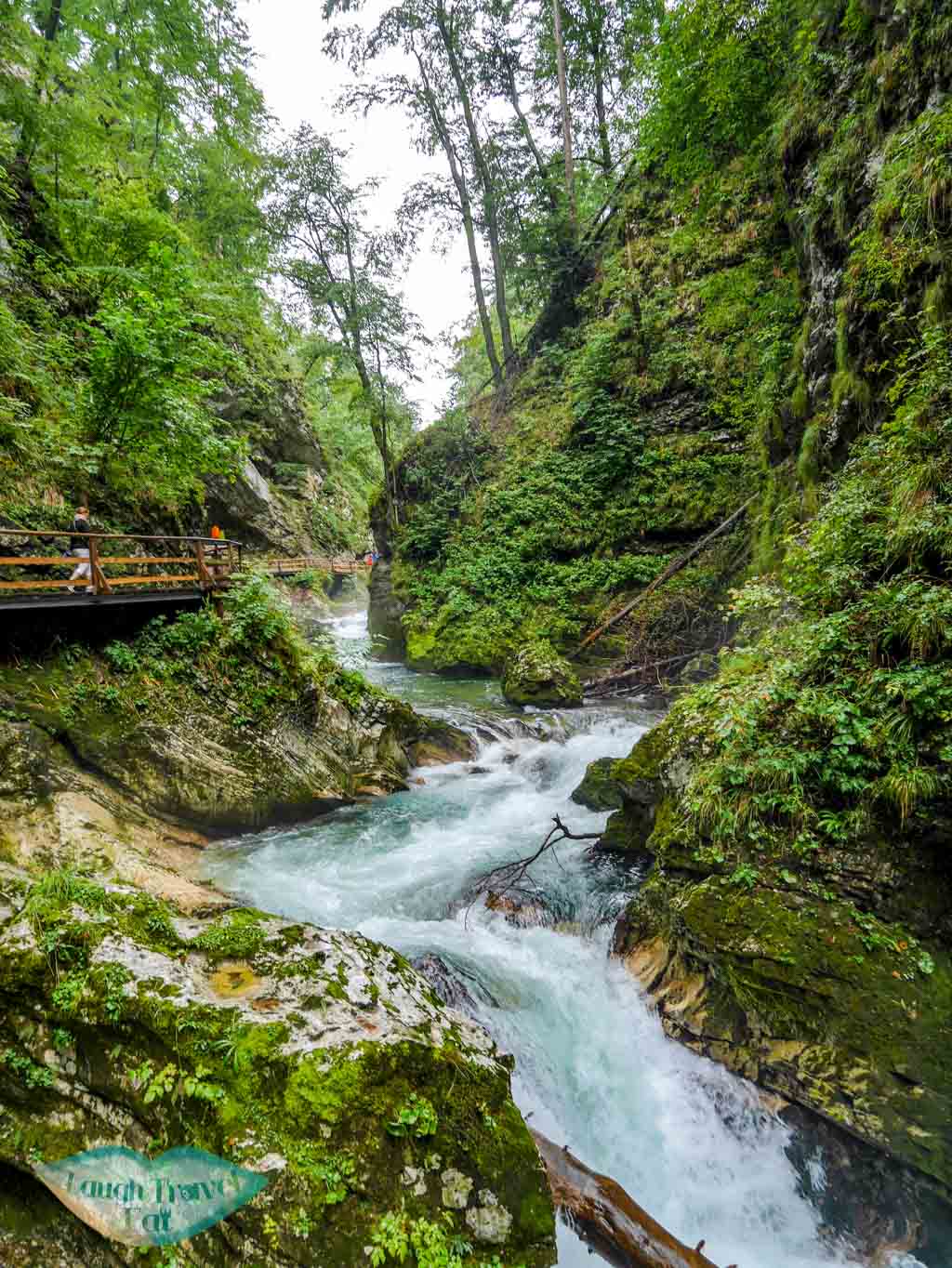 Vintgar-gorge-river-with-the-winding-hiking-trail-by-one-of-its-bank-Vintgar-Gorge-Slovenia-laugh-travel-eat