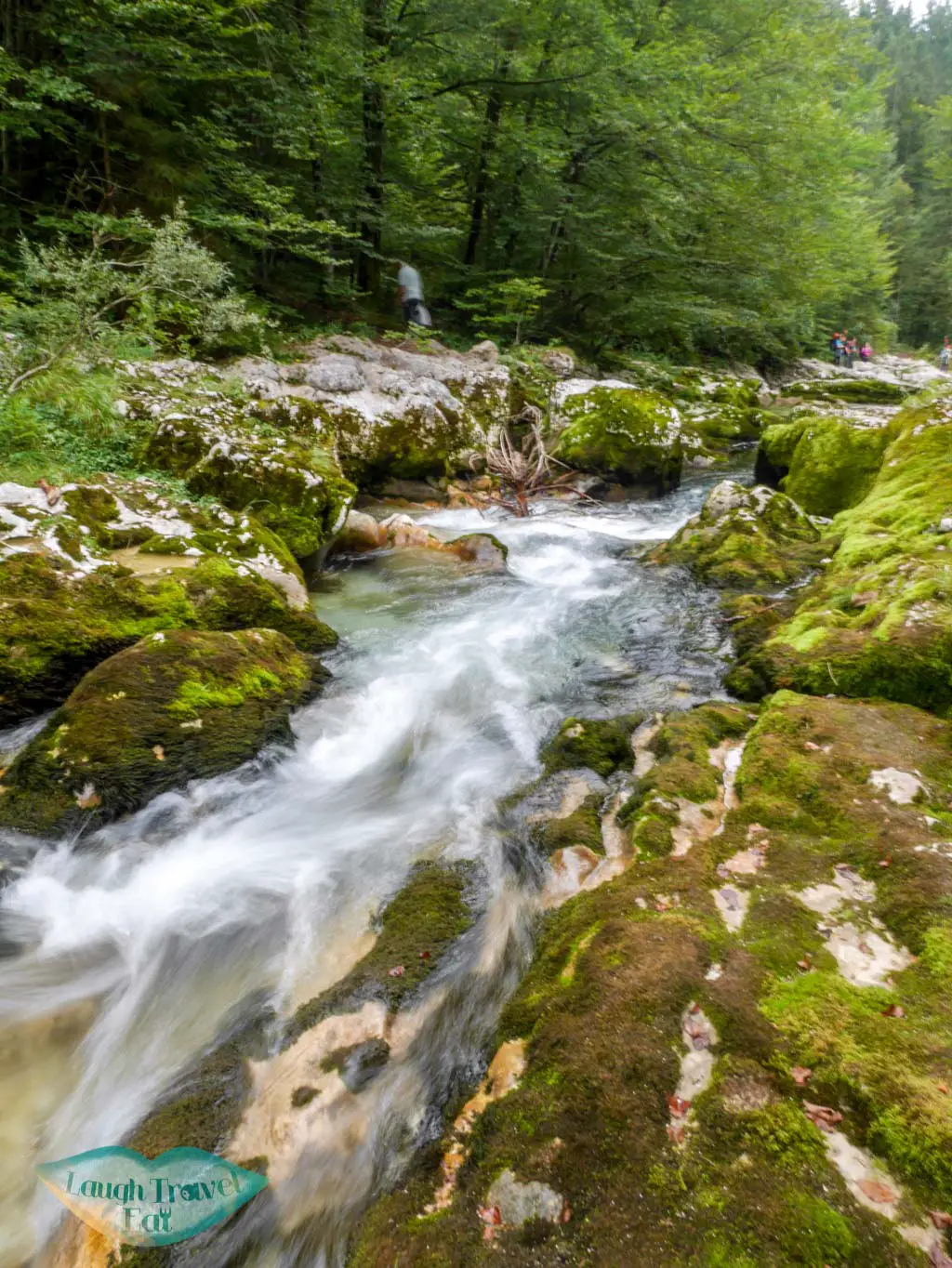 small stream of mostnica gorge bohinj slovenia - laugh travel eat