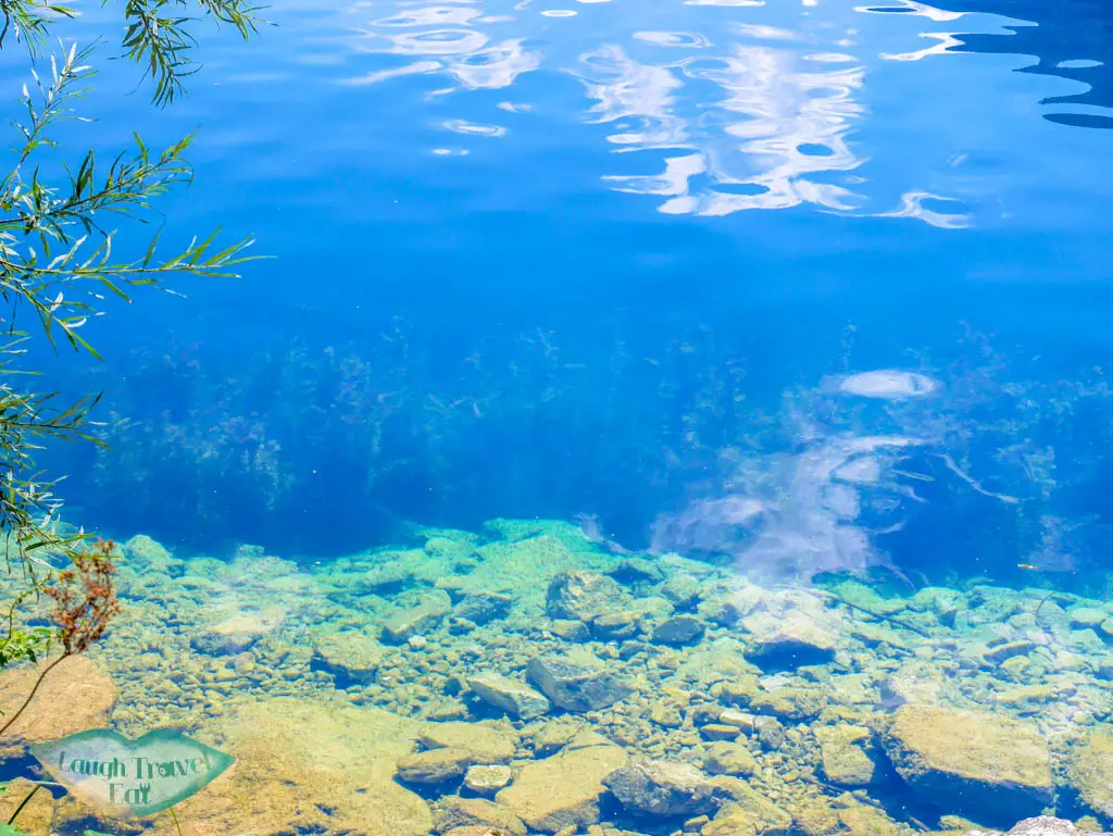 the clear water of lake bohinj slovenia - laugh travel eat