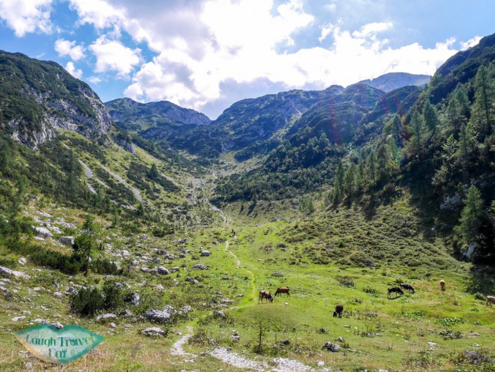 valley in the mountains around ogel ski center bohinj slovenia - laugh travel eat