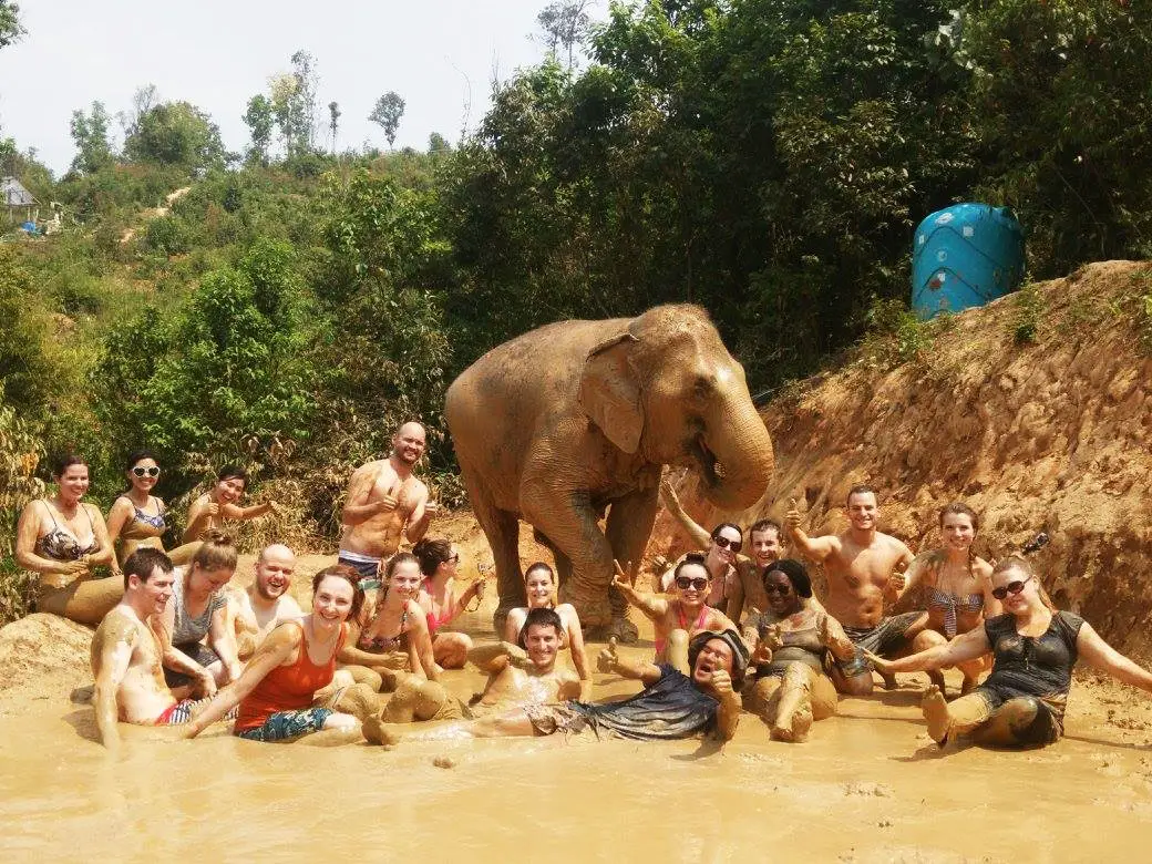 elephant jungle sanctuary泥浴,清邁,泰國