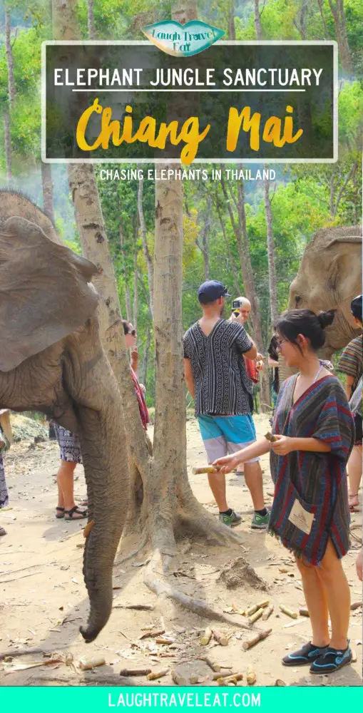 Elephant Jungle Sanctuary review Chiang Mai Thailand | Laugh Travel Eat