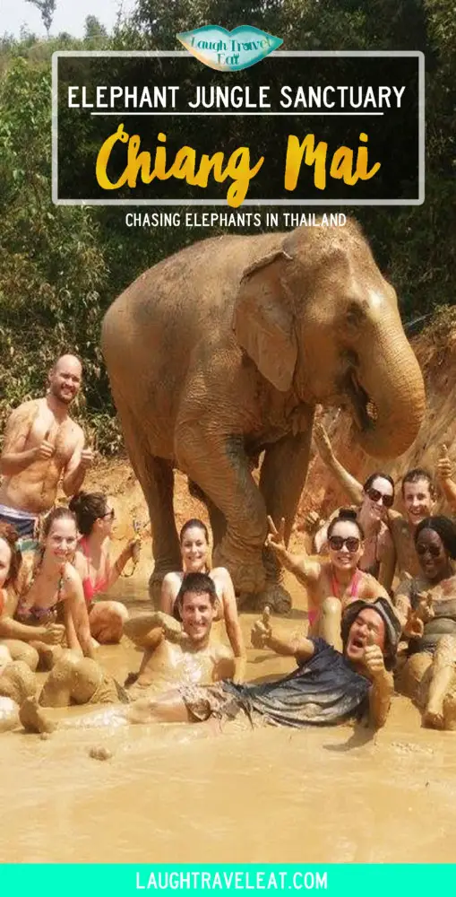 Elephant Jungle Sanctuary review Chiang Mai Thailand | Laugh Travel Eat