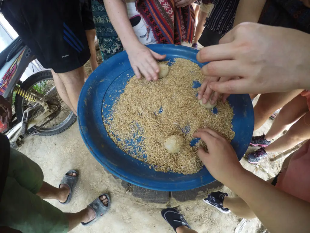 making treats for elephants at Elephant Jungle Santuary | Laugh Travel Eat