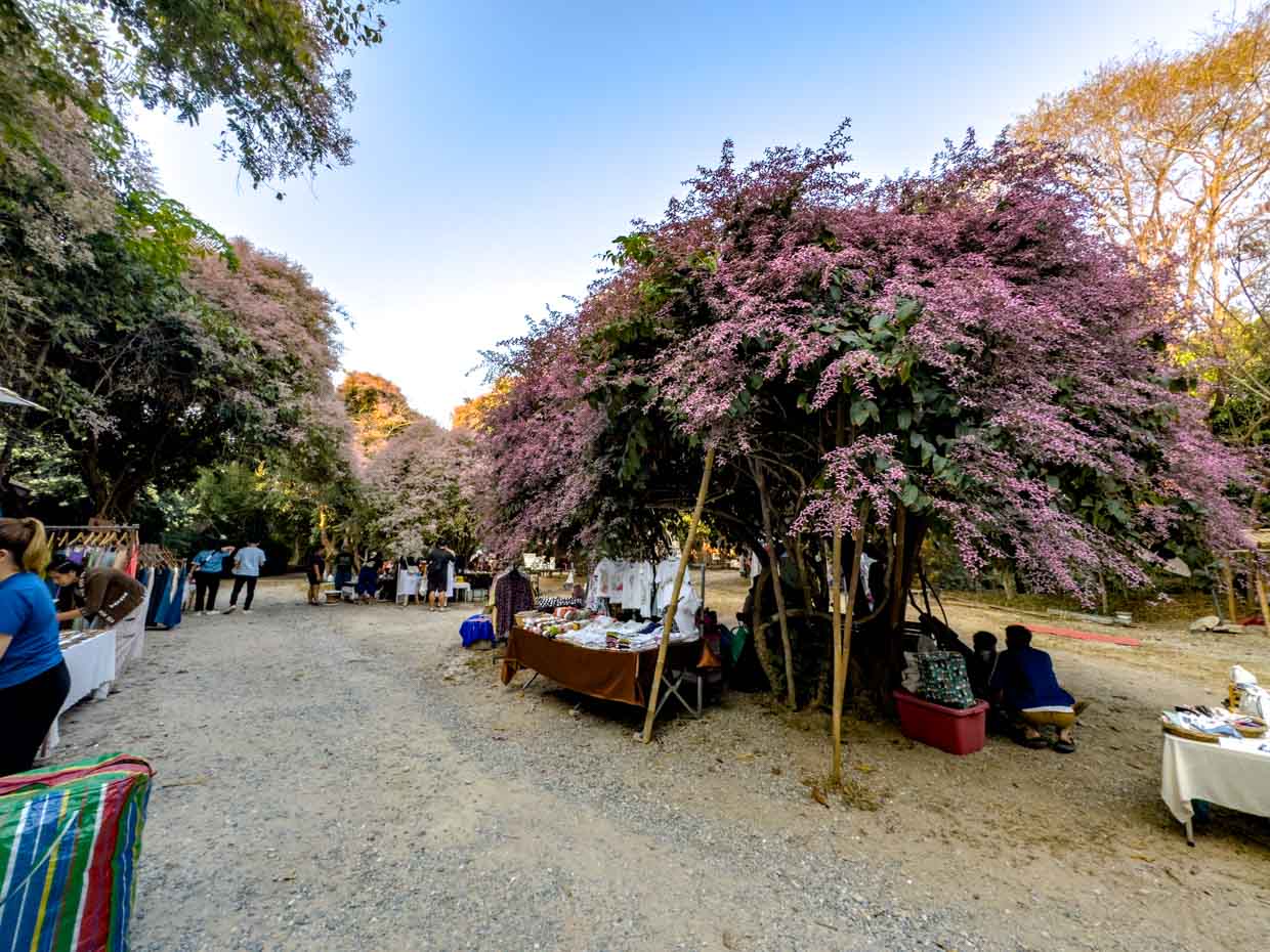 Nana Jungle market Chiang Mai Thailand - laugh travel eat