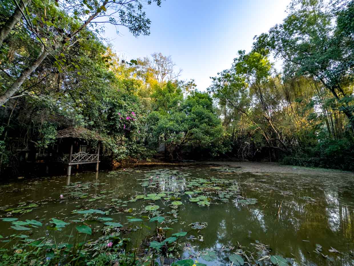 Nana Jungle market Chiang Mai Thailand - laugh travel eat