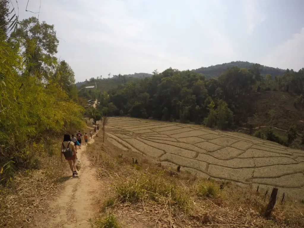 short trek to Elephant Jungle Santuary village after transport arrives