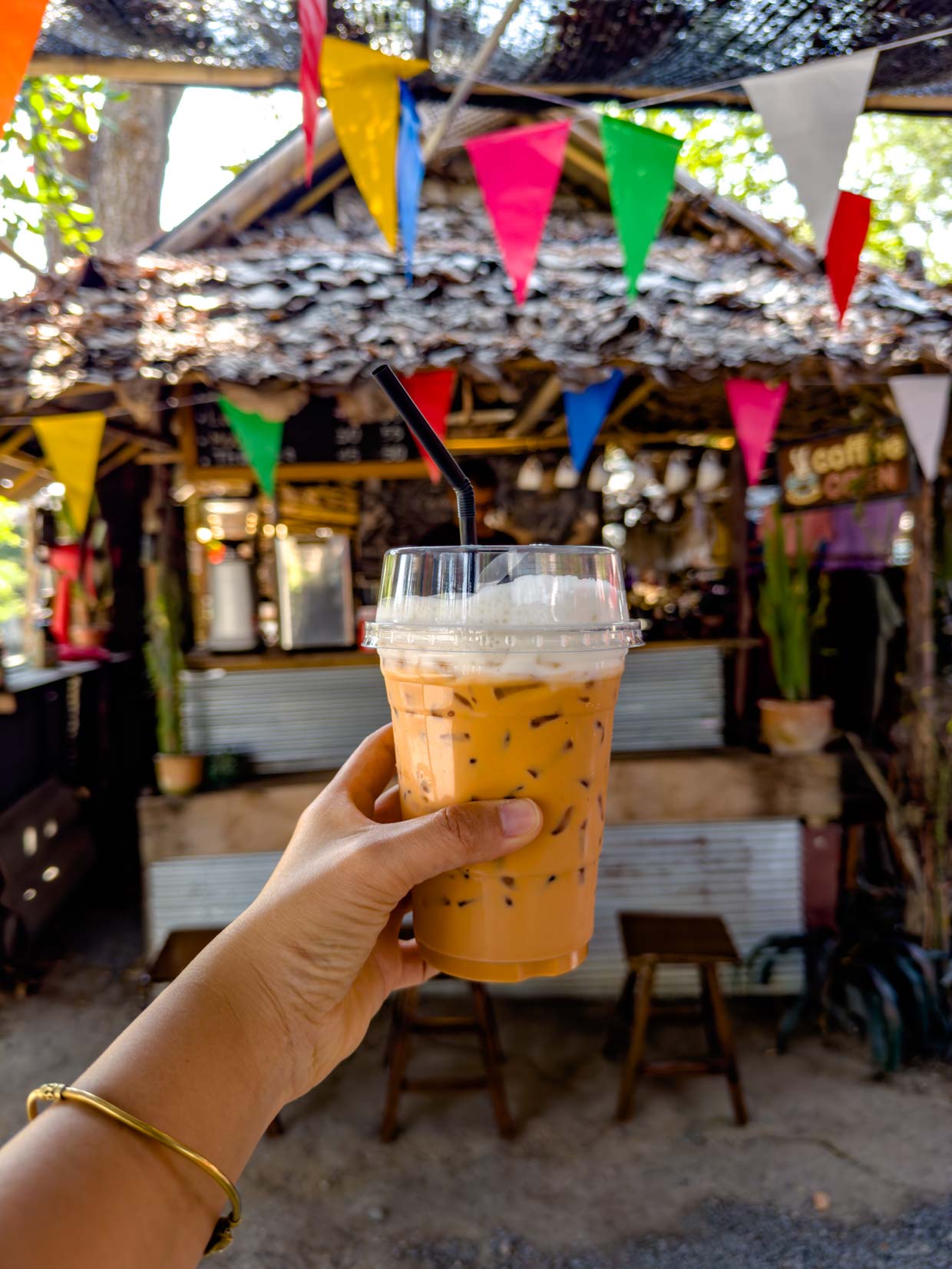 chamcha market Chiang Mai Thailand - laugh travel eat