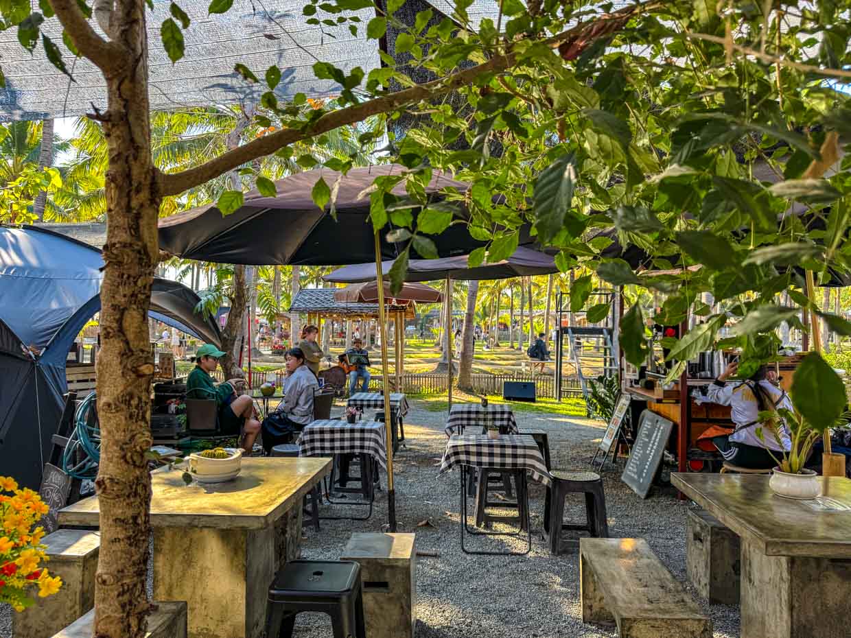 coconut market Chiang Mai Thailand - laugh travel eat-5