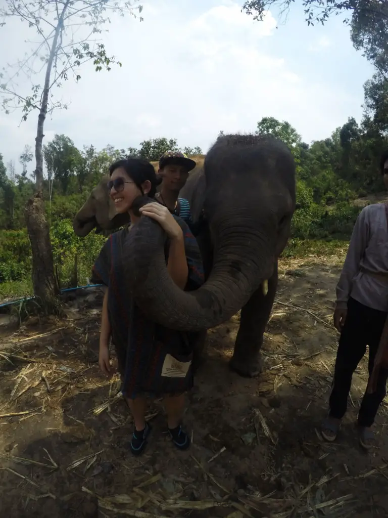 Elephant kiss at Elephant Jungle Santuary | Laugh Travel Eat