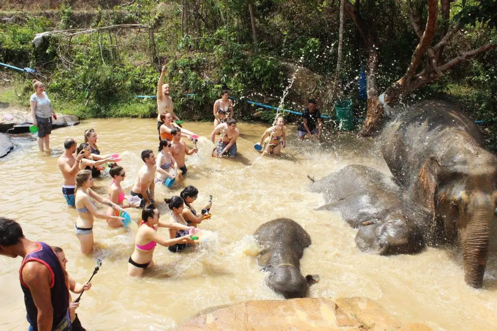 river bathing with the elephants at Elephant Jungle Santuary | Laugh Travel Eat