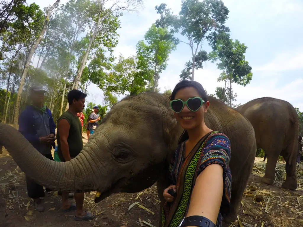 Selfie with baby elephant at Elephant Jungle Santuary | Laugh Travel Eat