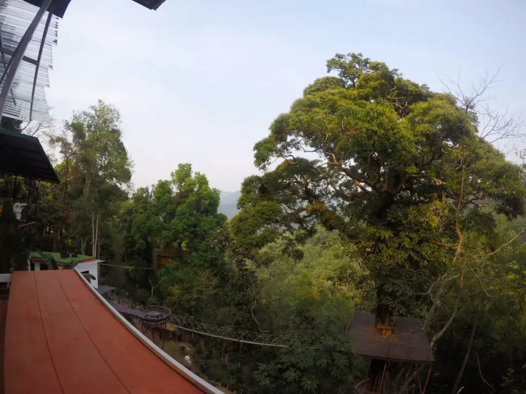 View from lunch area at Skyline Adventure, Chiang Mai | Laugh Travel Eat