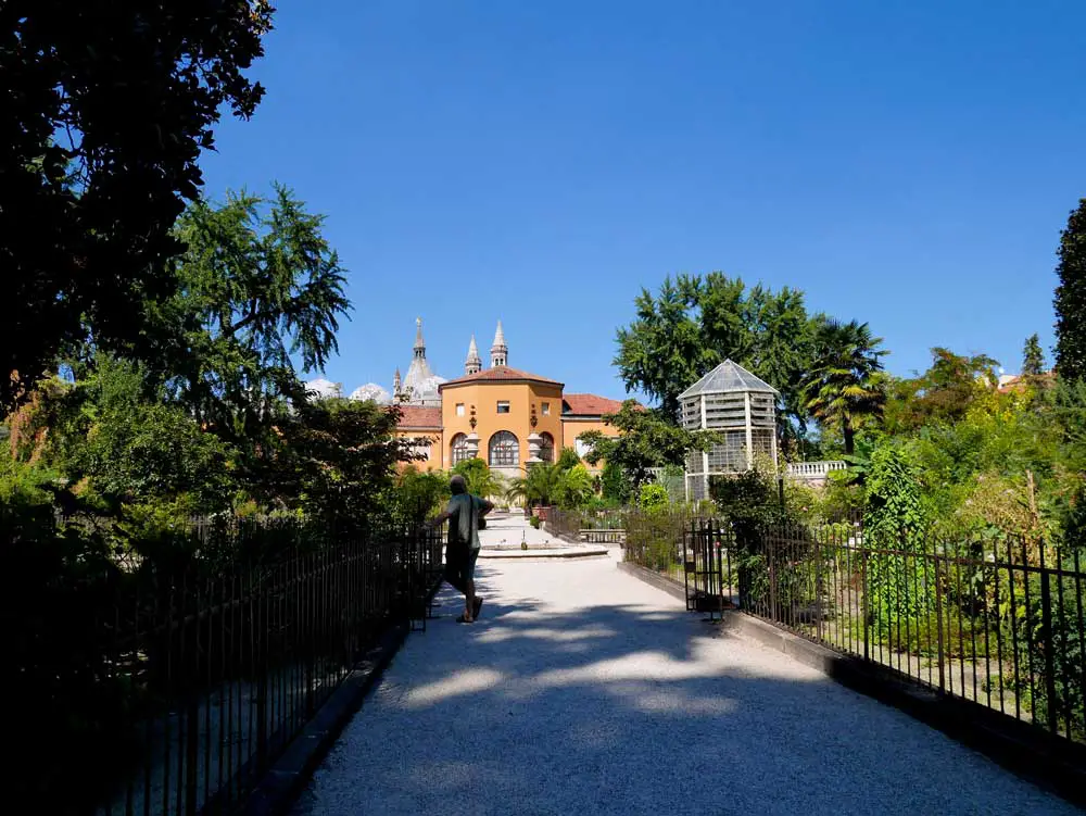 Padua Botanical Garden, Padua, Veneto, Italy | Laugh Travel Eat