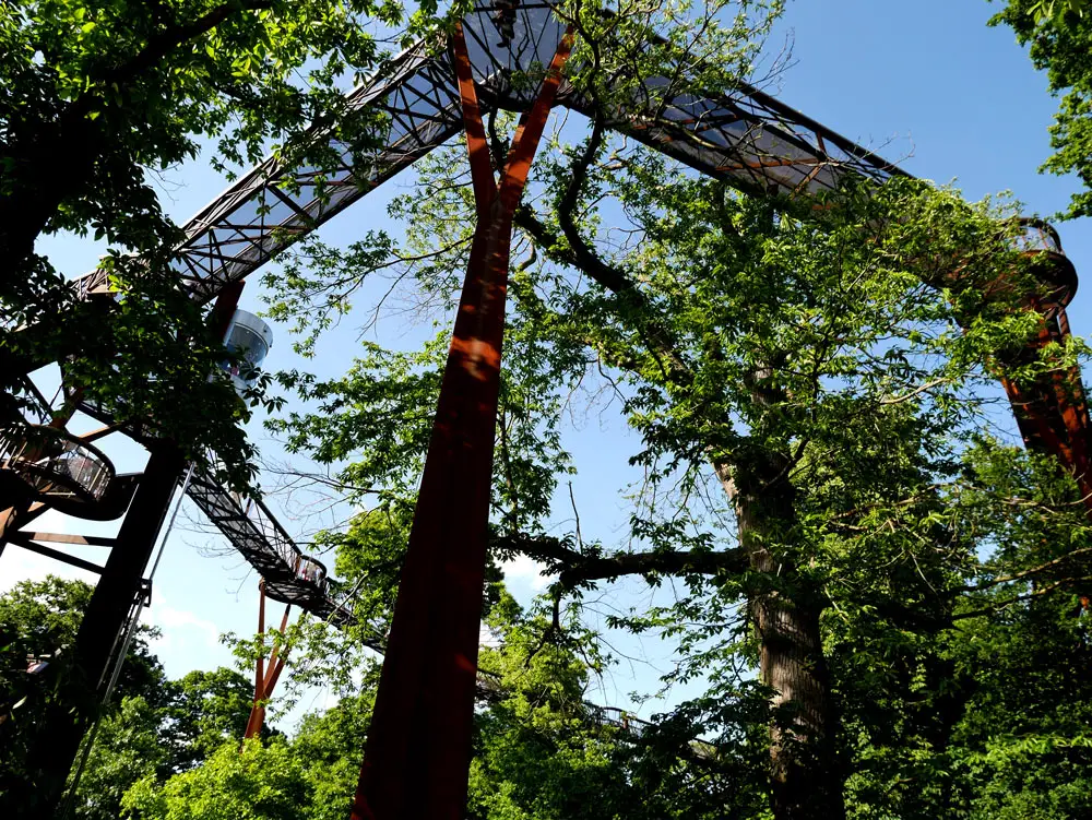 Treetop walkway, Kew Garden, London, UK | Laugh Travel Eat