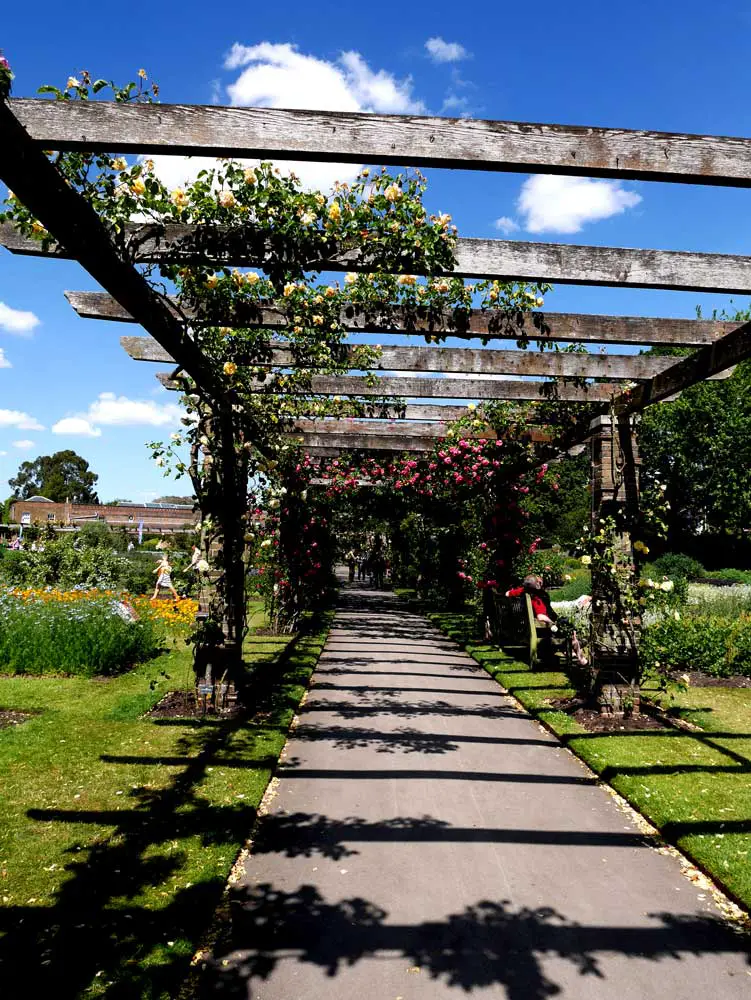  Rose pergola, Kew Garden, London, UK | Laugh Travel Eat