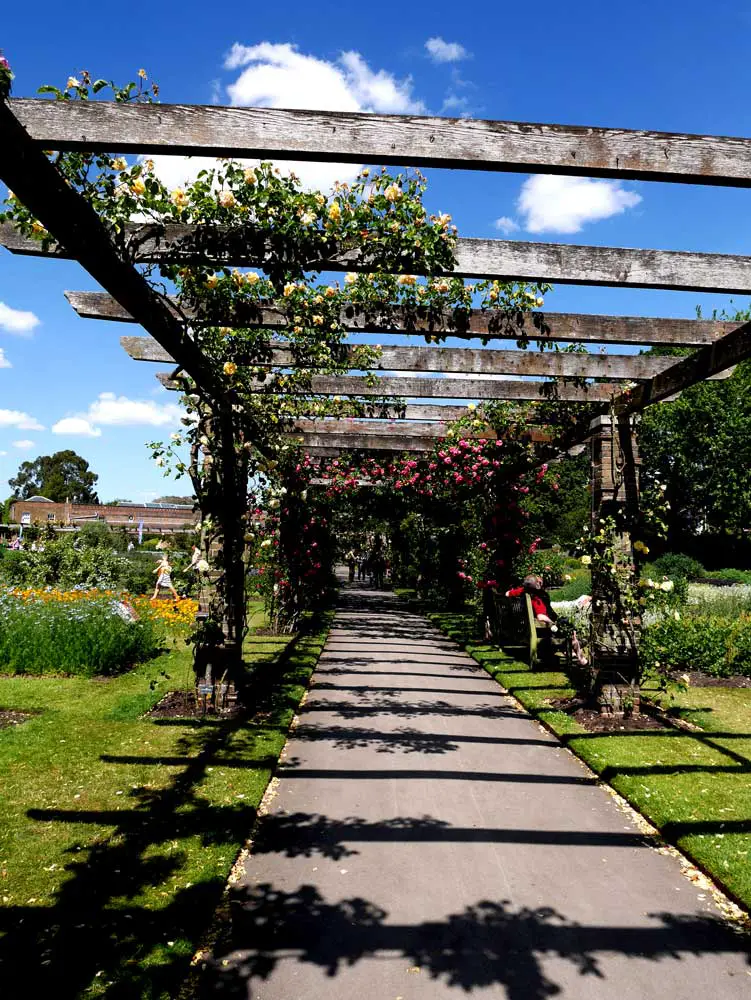 Rose pergola, Kew Garden, London, UK | Laugh Travel Eat