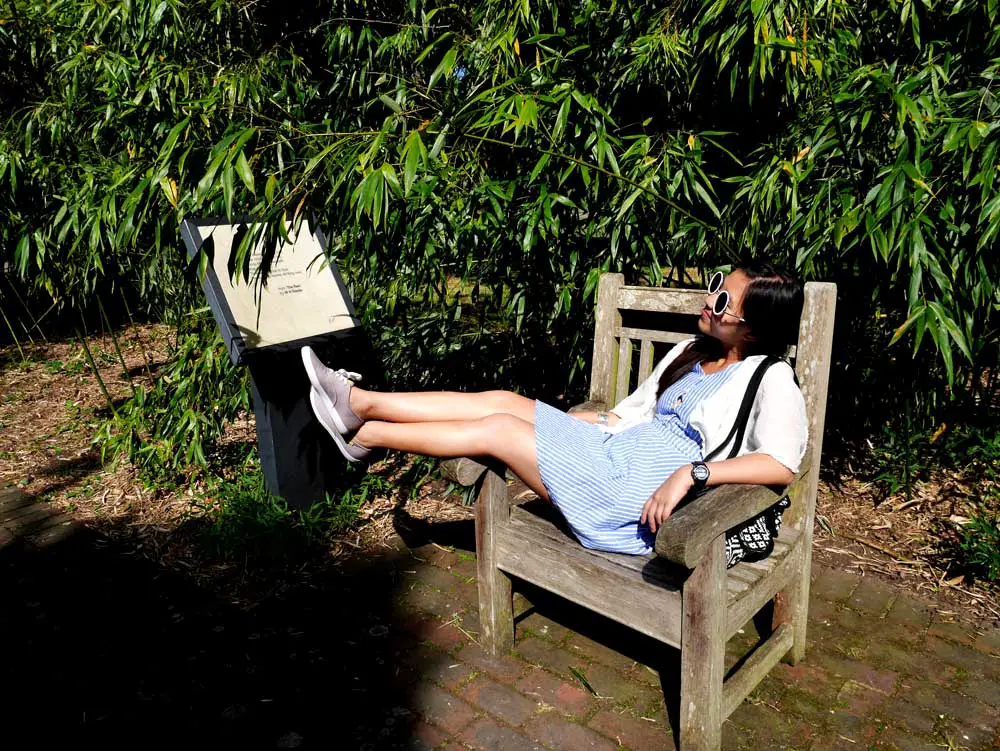 Forever alone chair in Kew Garden, London, UK | Laugh Travel Eat