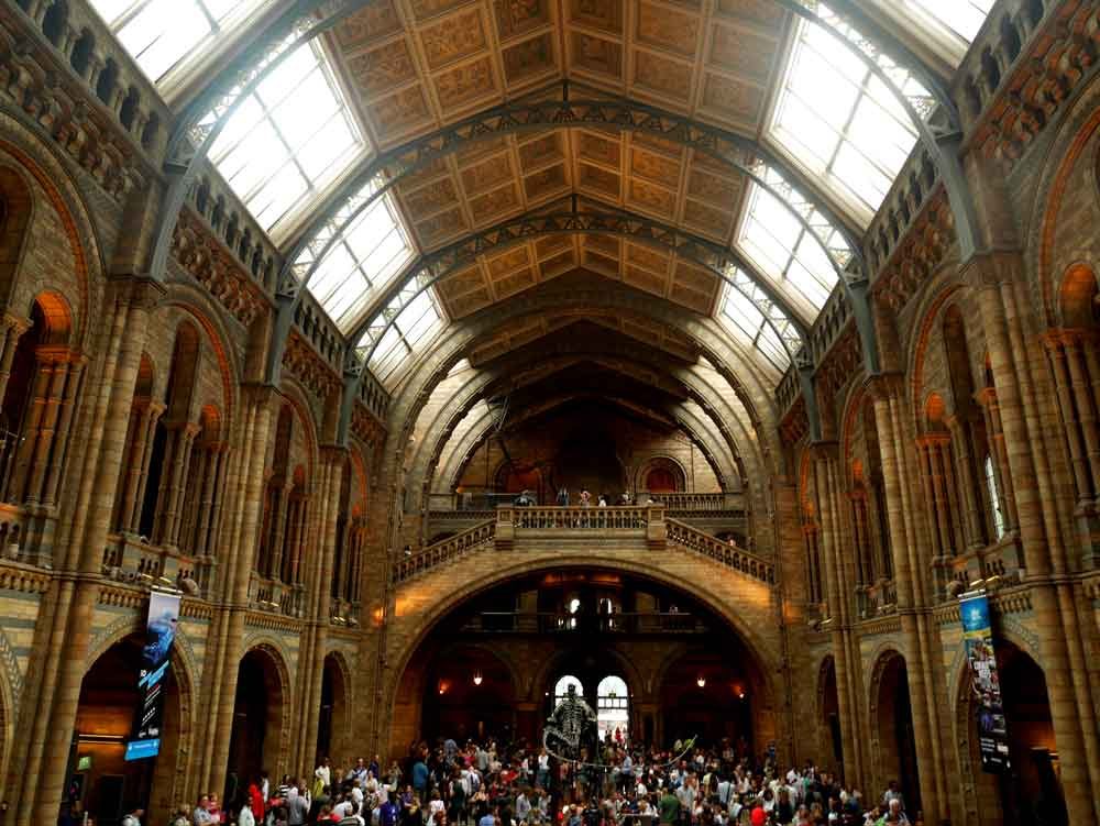 The grand great hall of the Natural History Museum, South Kensington, London | Laugh Travel Eat
