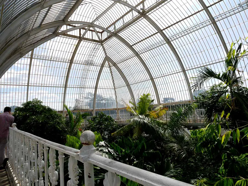 The walkway of Palm House that allows you to be at the level of tree canopy, Kew Garden, London, UK | Laugh Travel Eat