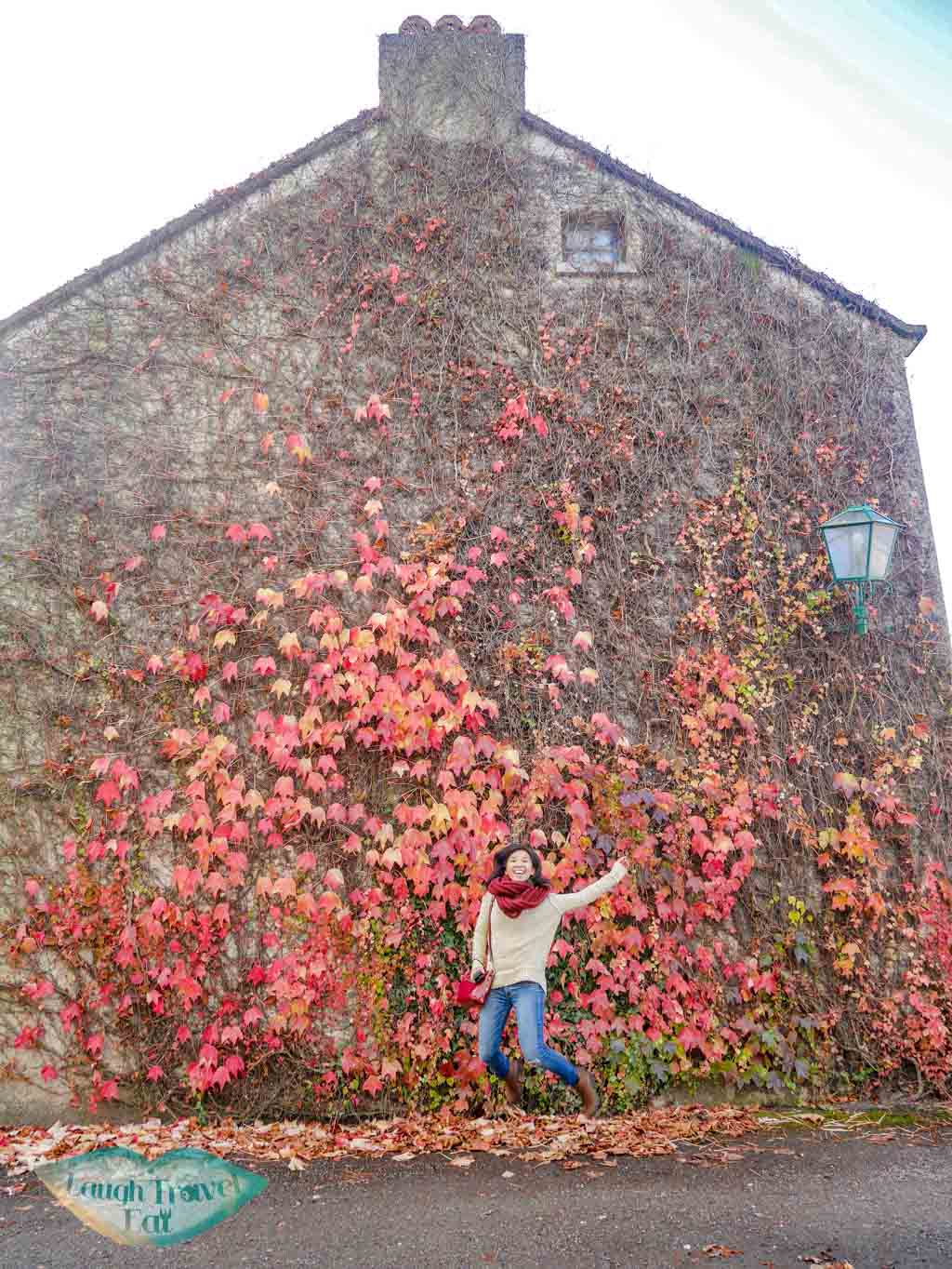 red-leave-wall-Bunratty-castle-rail-tour-dublin-Ireland-Laugh-Travel-Eat