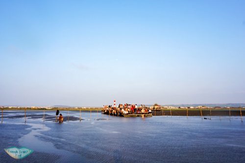 Crowd gathered at the end of Kaomei Wetland promenade in Taichung Taiwan | Laugh Travel Eat