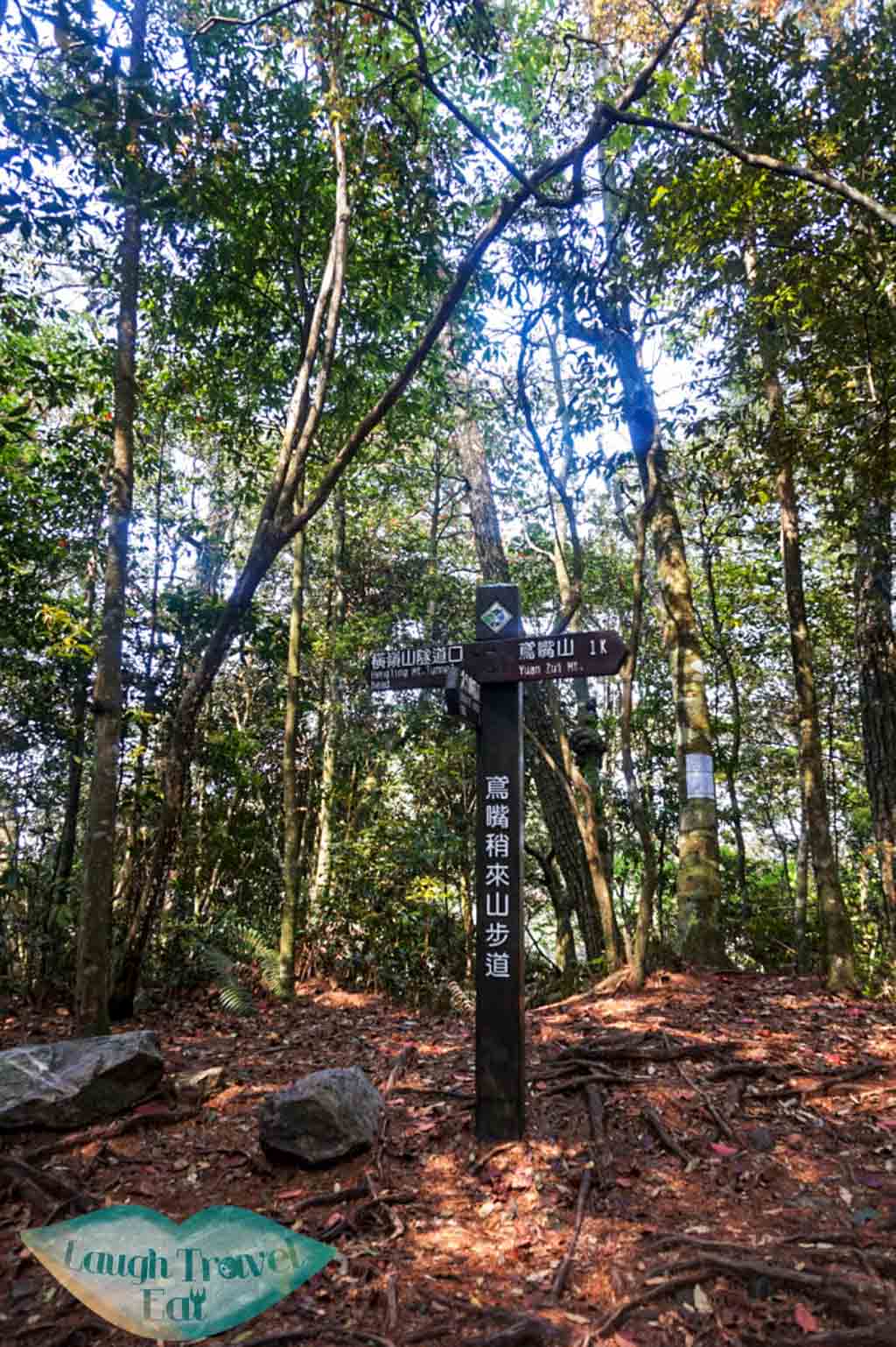 Follow the sign to the right towards Yuan Zui Mountain (1km to go!) at Dasyueshan National Forest Recreational Area - Laugh Travel Eat