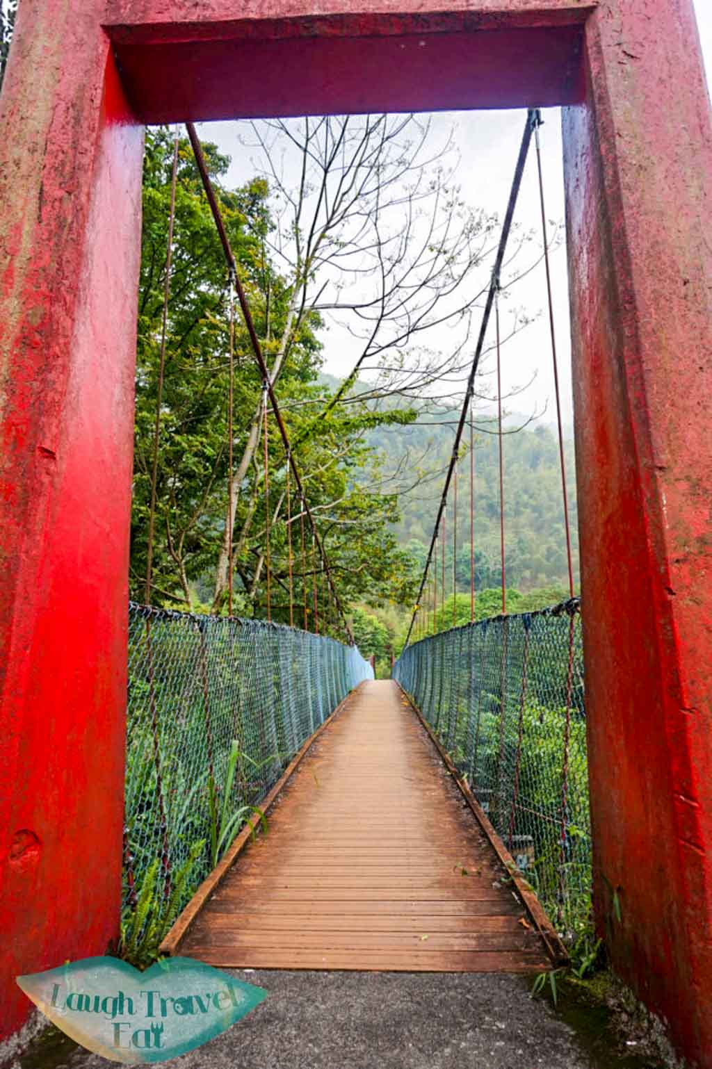 Hanging bridge in Dasyueshan National Forest Recreational Area, Taichung - Laugh Travel Eat