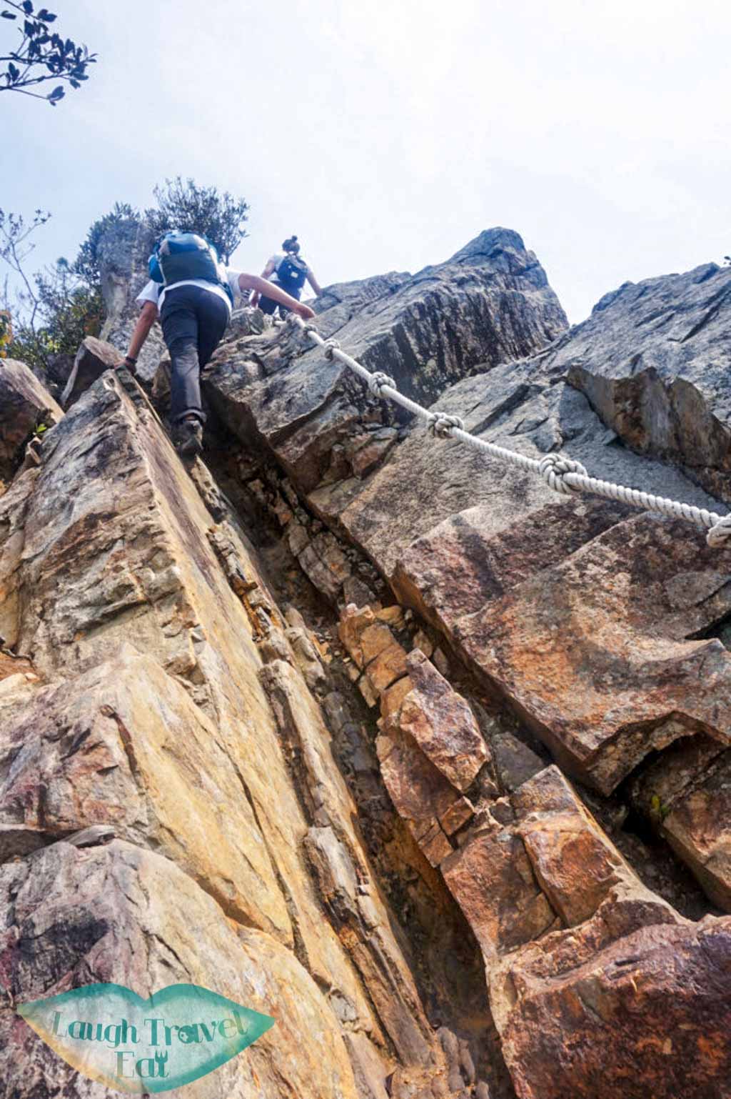 Impossible looking trail leading up to Yuan Zui Mountain in Dasyueshan National Forest Recreational Area, Taichung - Laugh Travel Eat