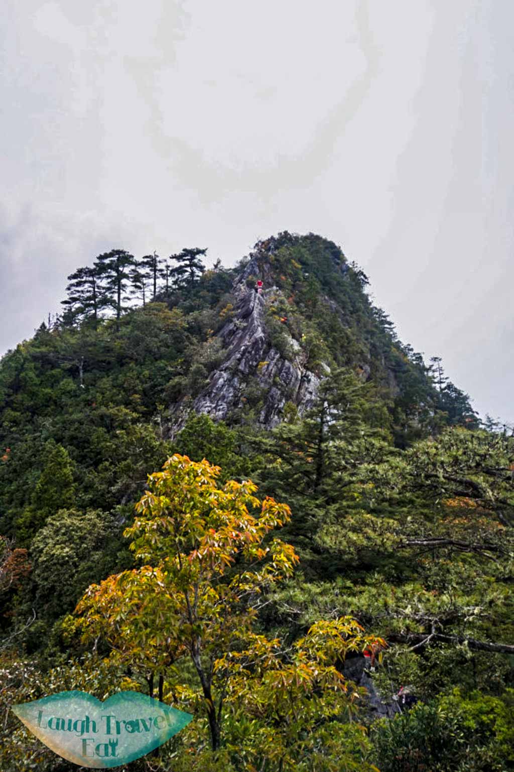 Looking back at descend from peat at Yuan Zui Mountain in Dasyueshan National Forest Recreational Area, Taichung - Laugh Travel Eat
