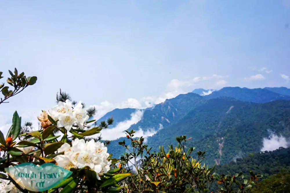 Things to do in Taichung hiking up the Yuan Zui Mountain and admiring the view - Laugh Travel Eat