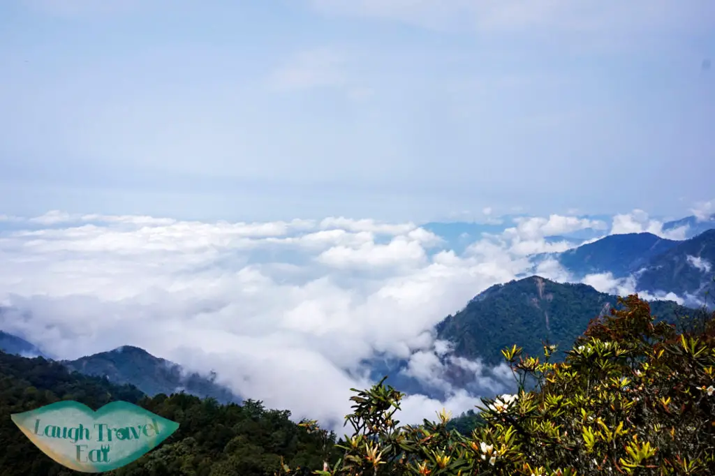 View of one side of the mountain chain atop Yuan Zui Mountain in Dasyueshan National Forest Recreational Area, Taichung - Laugh Travel Eat
