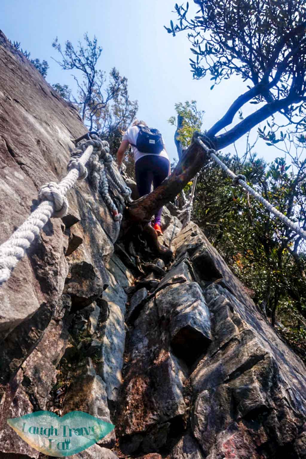steep part of the trail along rocks at Yuan Zui Mountain in Dasyueshan National Forest Recreational Area, Taichung - Laugh Travel Eat