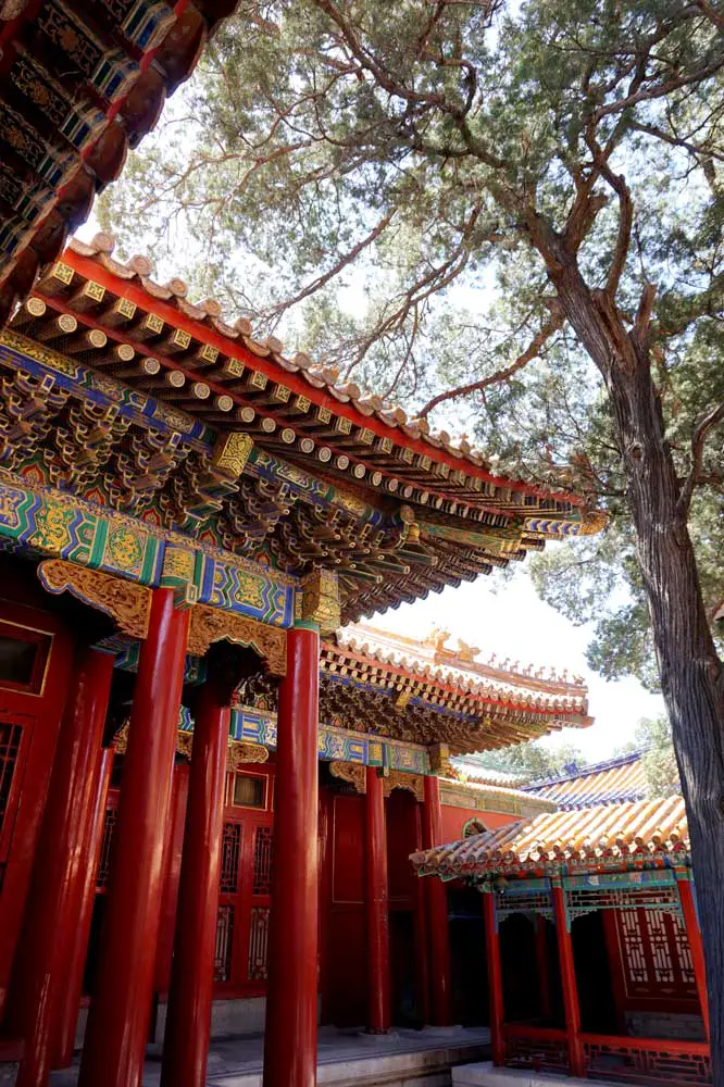 Forbidden City, Beijing | Laugh Travel Eat