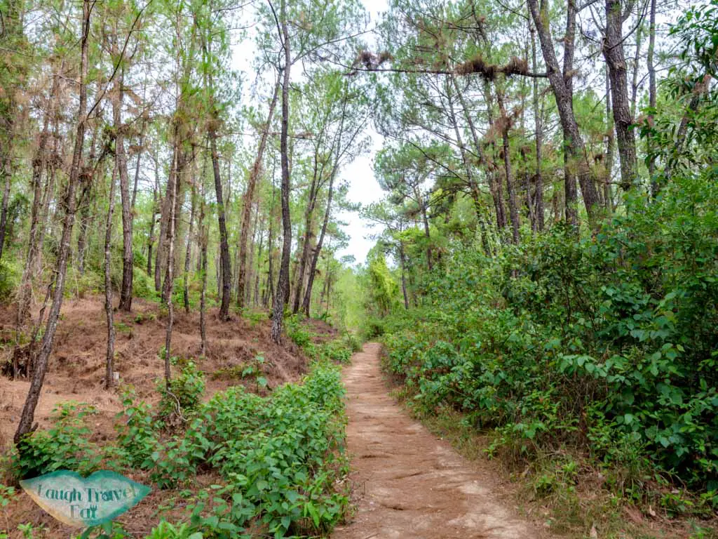 dirt path in abandoned water park hue vietnam - laugh travel eat