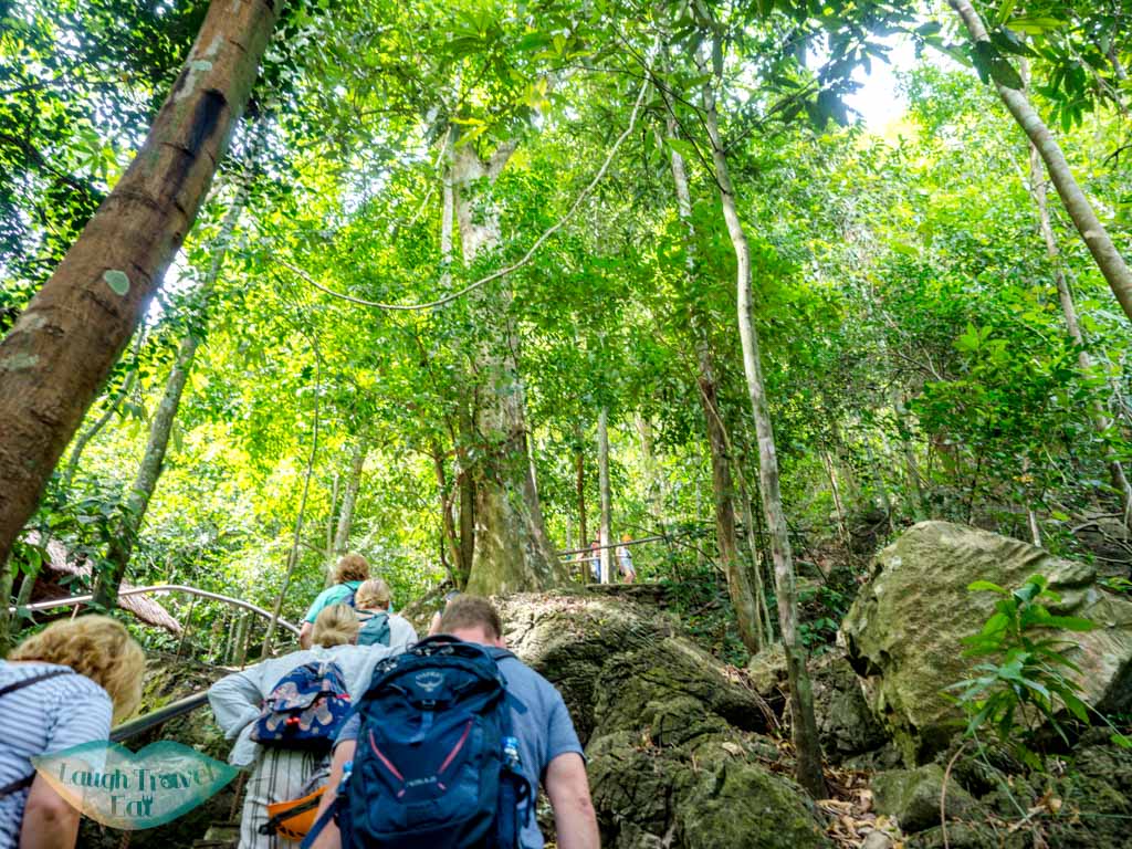 stairs up to paradise cave phong nha vietnam - laugh travel eat