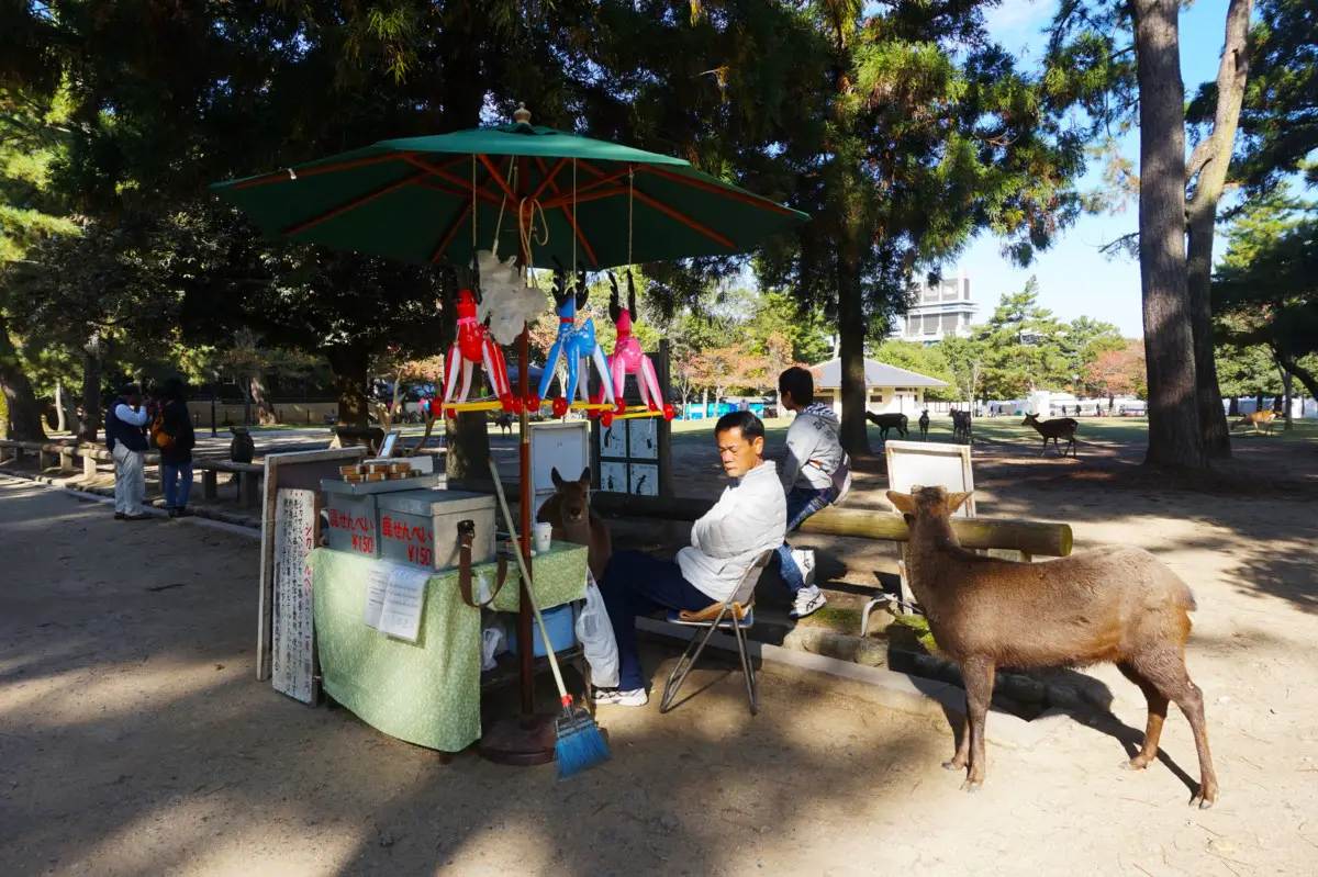 Deer biscuits or deer snack store at Nara Deer Park, Nara | Laugh Travel Eat
