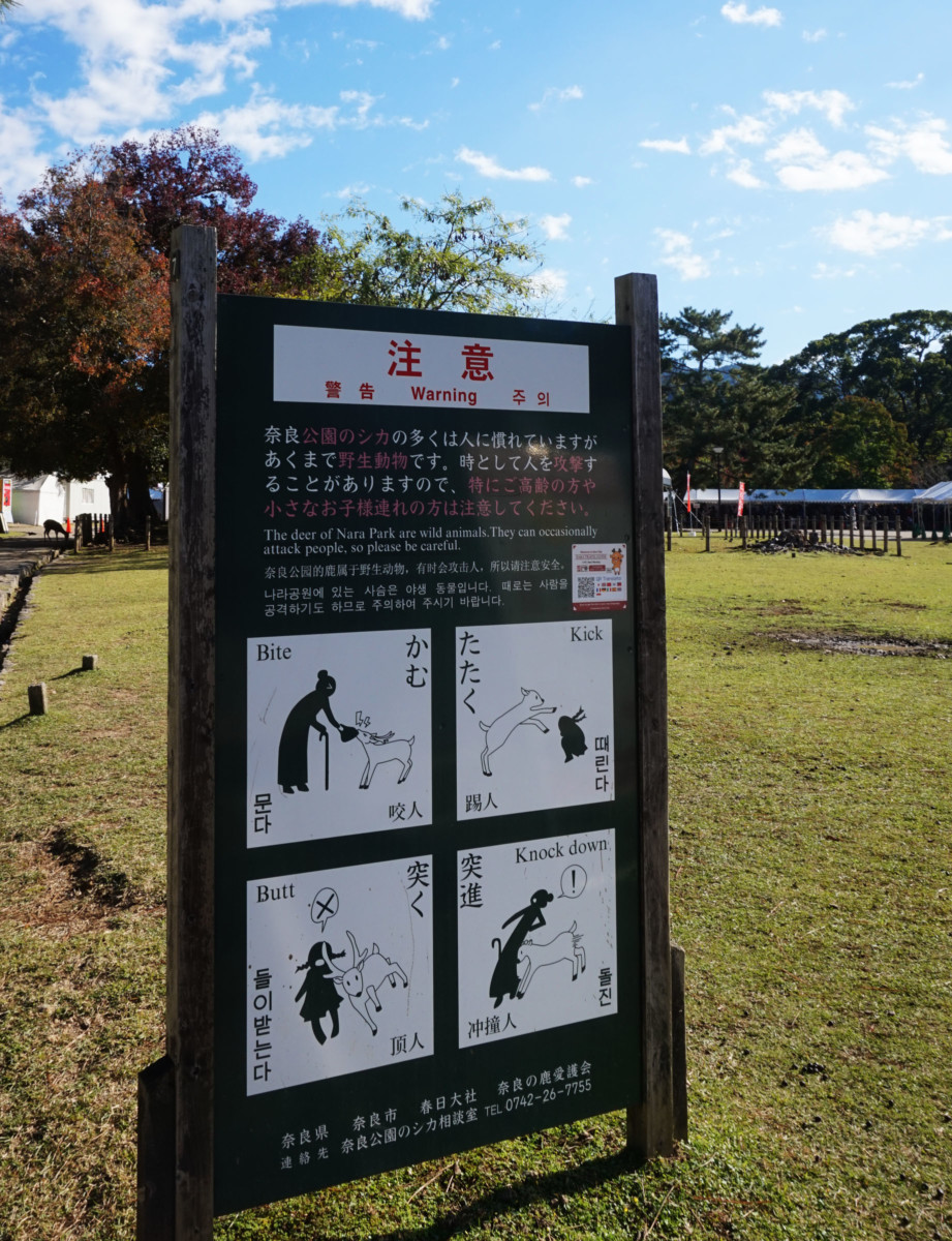 Sign protrating the danger of interacting with the Nara deer at Nara | Laugh Travel Eat