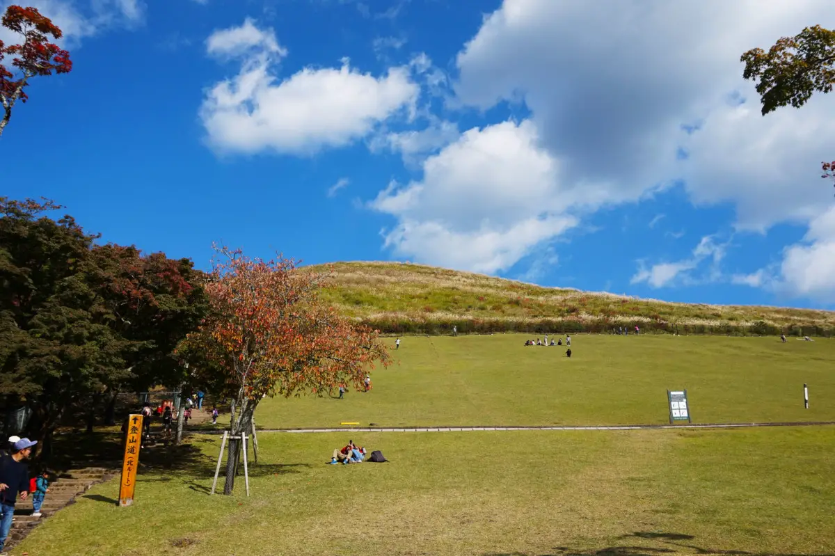 Hill at Nara's Deer Park in Japan | Laugh Travel Eat