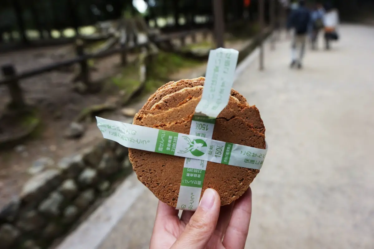 One pack of deer biscuits purchased at Nara Deer Park | Laugh Travel Eat