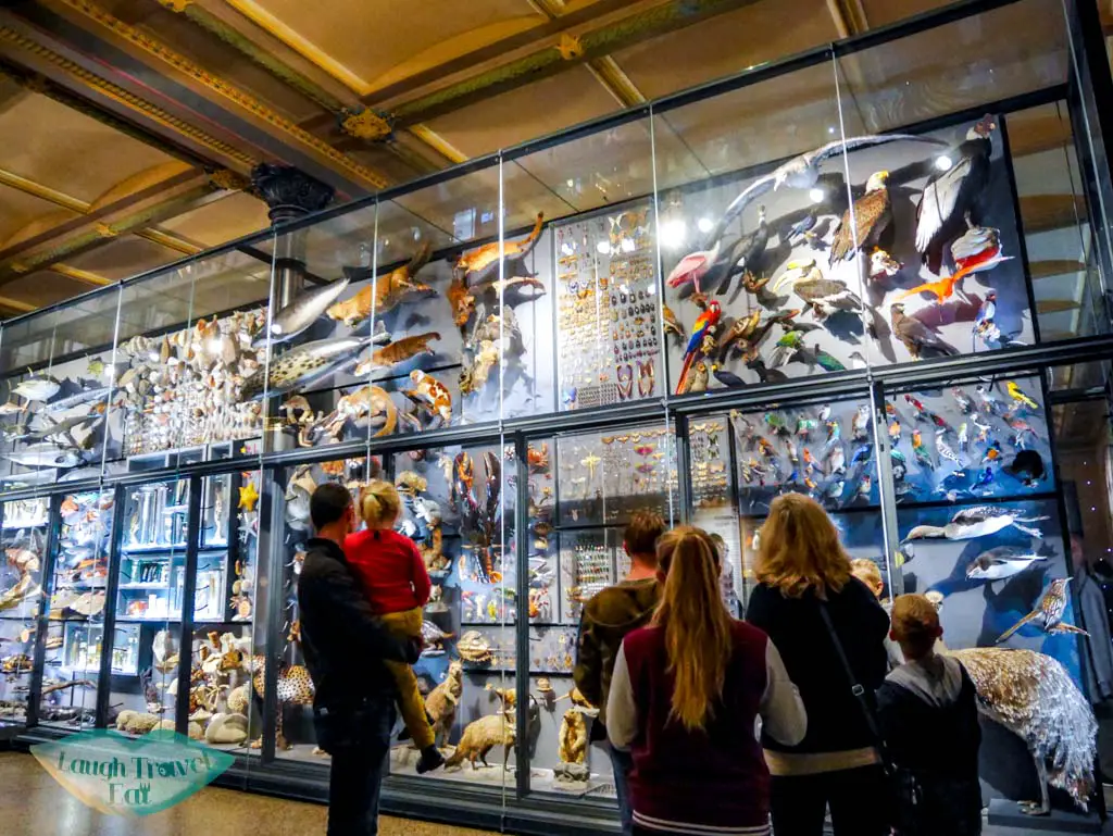 inside-Museum-of-Natural-History-Berlin-Germany-Laugh-Travel-Eat