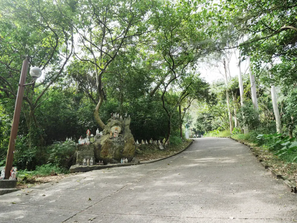 屯門Castle Peak Range Road往菠蘿山