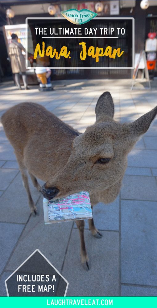 If you are in Kansai region, a day trip to Nara to see the deer park and temples are a must. Here is an itinerary for food, temples, deers. #Japan #Nara #DayTrip