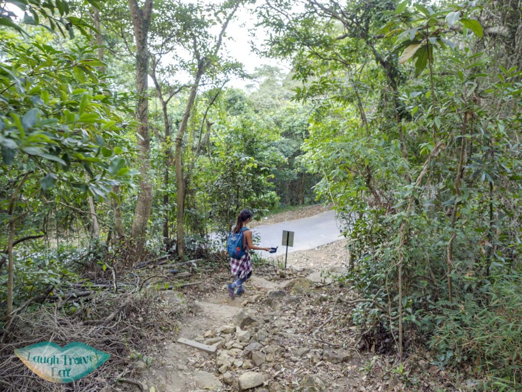 trail end kowloon peak to fei ngo shan road hong kong - laugh travel eat-2