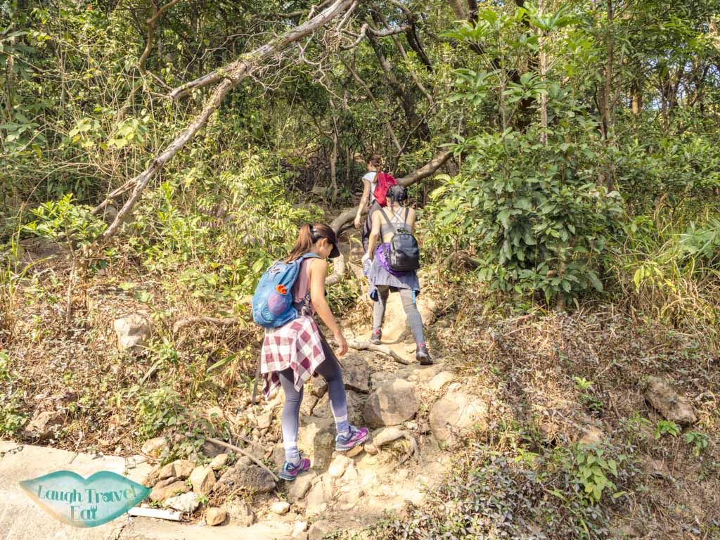 trail start for suicide cliff kowloon peak via fei ngo shan road hong kong - laugh travel eat-2