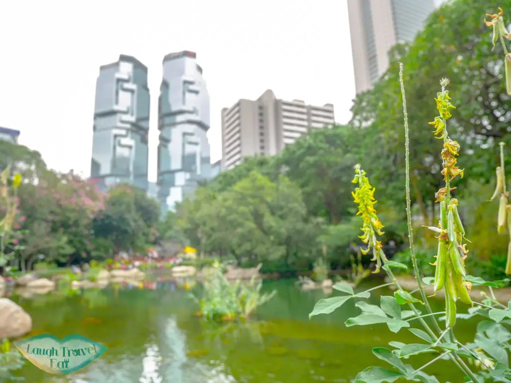 Hong-Kong-Park-facing-Admiralty-by-the-man-made-lake-Central-Hong-Kong-Laugh-Travel-Eat